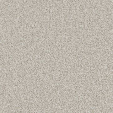 Tuscany Elite Carpet - Egret-4m