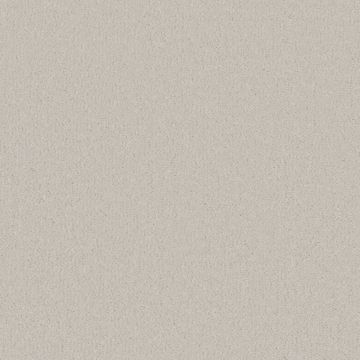 Serene Carpet - White Dove-4m