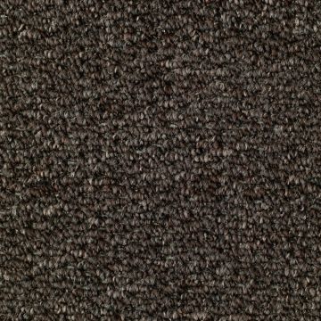 Woodford Loop Pile Carpet-Hobnail Coffee 8218-5m